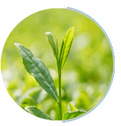 NeuroSurge
